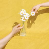 六年级下册第一课堂观后感汇合