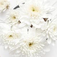 挺进中原观后感450字集合