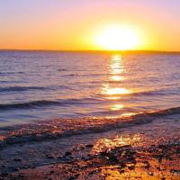 得道多助道寡助读后感收集