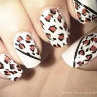 一个女孩的红发卡读后感汇编