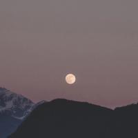 随笔和读后感的区别总汇