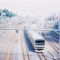 稻草人梧桐子读后感70字细选