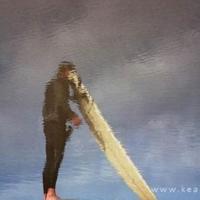 护小树大班教案读后感合计