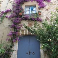 成语趾高气扬的读后感集锦