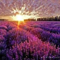 地铁乘车安全的观后感汇总