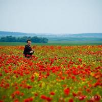 罪与罚读后感1000汇合