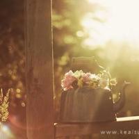 四年级寒假读后感200字摘录