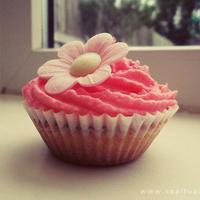 法制中国500字观后感选录