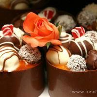 历史的抉择观后感300字集锦