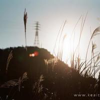 微电影蜕变观后感集锦