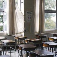 老舍作品精华本麻雀读后感精练