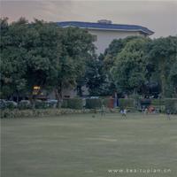 英语典范英语读后感汇合