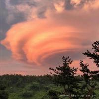 易清华音乐课读后感摘录