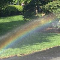 我的父亲母亲的读后感精选