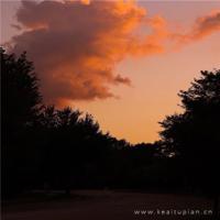 中国艺术观后感250字细选