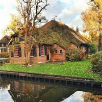 齐白石观后感图画精选