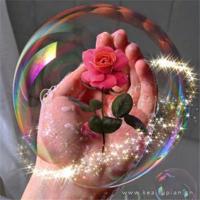 美丽中国美好家园读后感集合