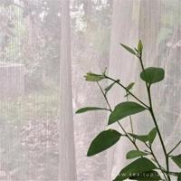 防拥挤踩踏观后感3年级汇集