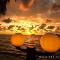 老鼠和猫做朋友读后感选录