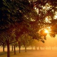 蝉动与蝉洞读后感选录