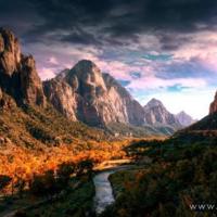 儿童童话剧观后感选录