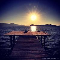 红舞鞋的童话故事读后感汇合