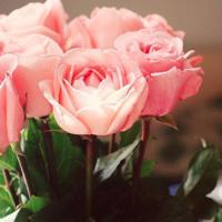 奇葩说讲生死观后感锦集