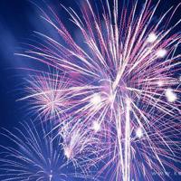 老师没收了蚂蚁瓶子读后感整理