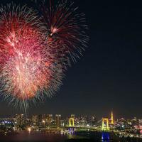 第八日的婵读后感汇总