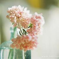 看交通安全观后感350汇聚