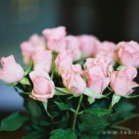 中国文艺节目观后感汇总