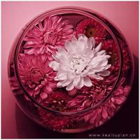 电影不许动观后感600字精练