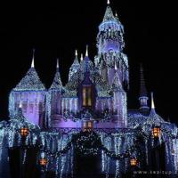 老男孩猛龙过江观后感选录