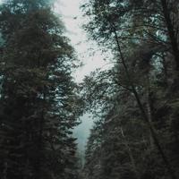 论文的写作与发表读后感摘录