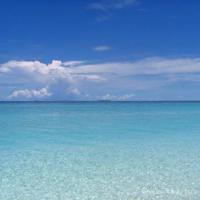 两年级下册的读后感锦集