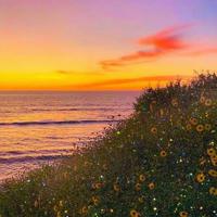 战疫有我逆风飞翔读后感合计