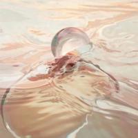 追问危情记读后感200字细选