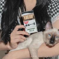 蓝狐狸的鞋屋读后感聚集