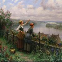 一只小鸟课文的读后感汇聚