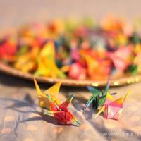 罪与罚歌剧观后感精选