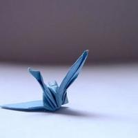 演奏快乐的读后感合集