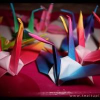 亲爱的爱丽丝亲子读后感总汇