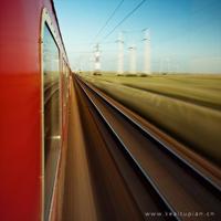 住在箱子里的兔子读后感摘录