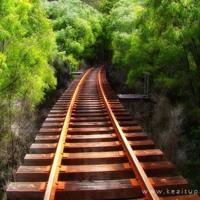 幼儿园绘本我喜欢读后感收集