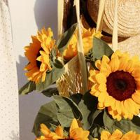 老妈变变变读后感100字汇总