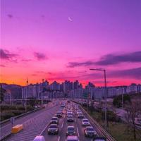 红色甘肃的观后感汇编