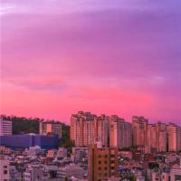 常青树读后感英文汇聚