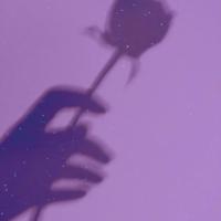 非洲大陆起源观后感摘录