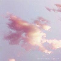 安家的观后感孙俪合计