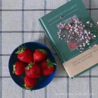 水浒传31至50回观后感总汇